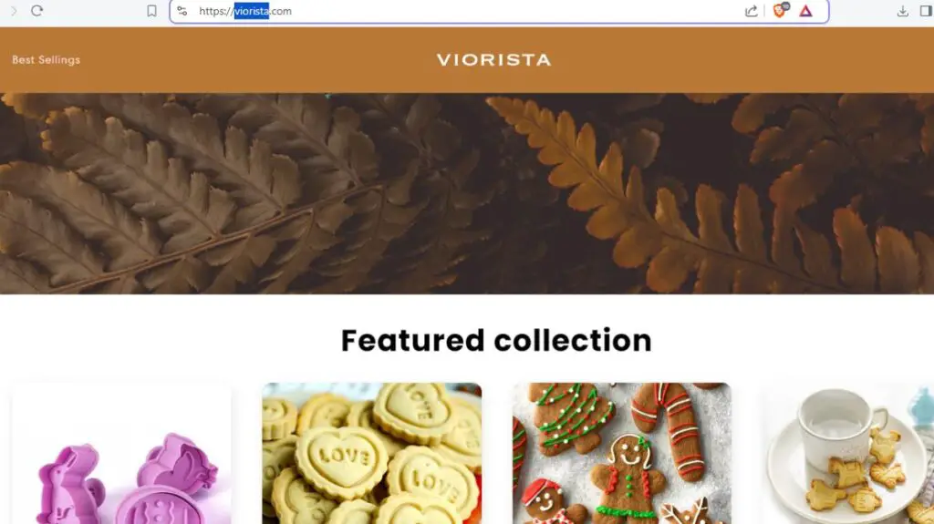 This Viorista Review reveals Viorista Is Fraudulent Or Trustworthy Site.